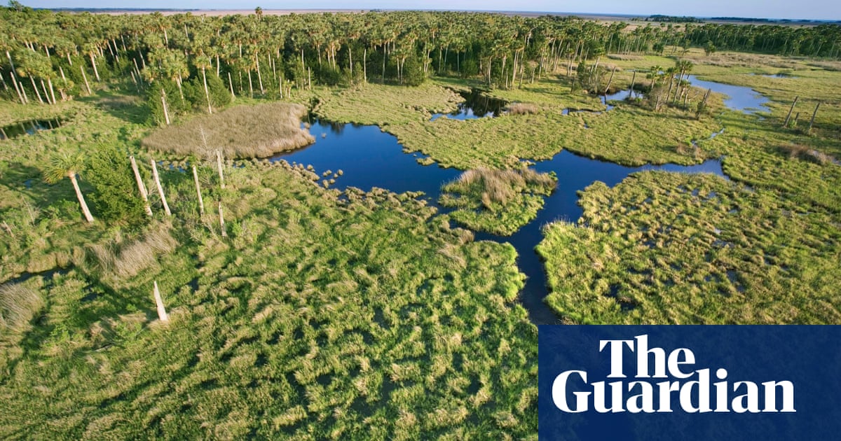 Streams and lakes have rights, a US county decided. Now they&rsquo;re suing FloridaA novel lawsuit is taking advantage of a local &lsquo;rights of natur...