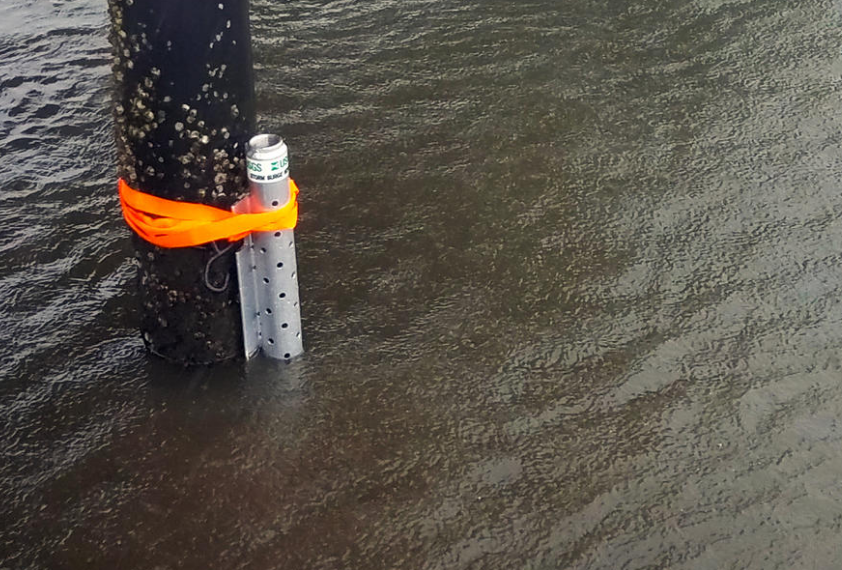 USGS Installs Storm-tide Sensors Accessible Via Mobile App