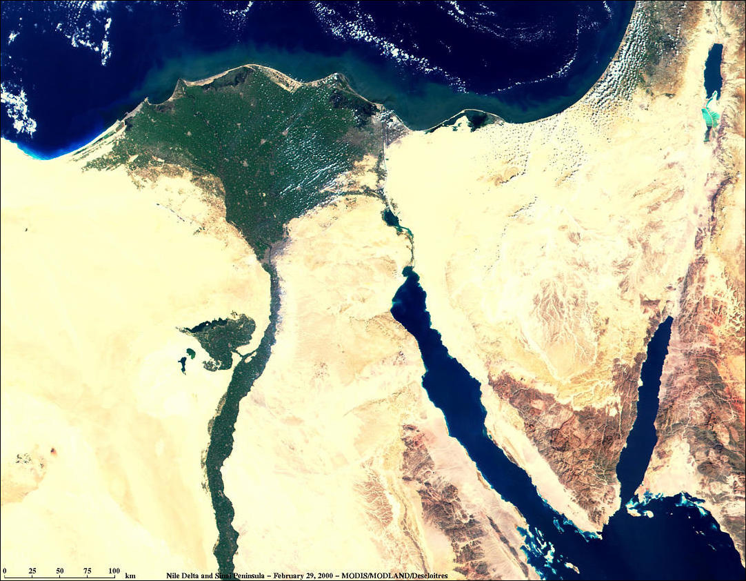 Disinfectants Caused Nile Delta Mass Poisoning