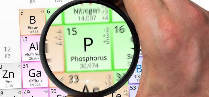 Putting the focus on phosphorus