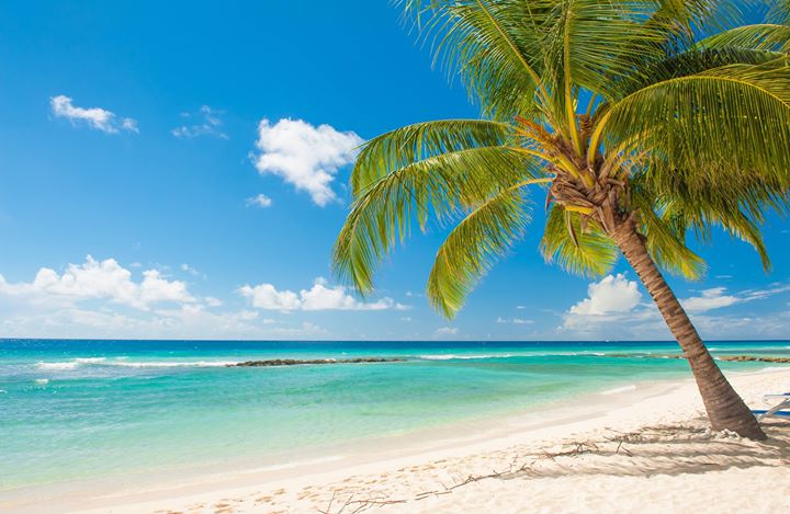 Investments Needed For Caribbean WASH Transformation