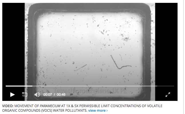 Using microorganisms to monitor water quality within minutes