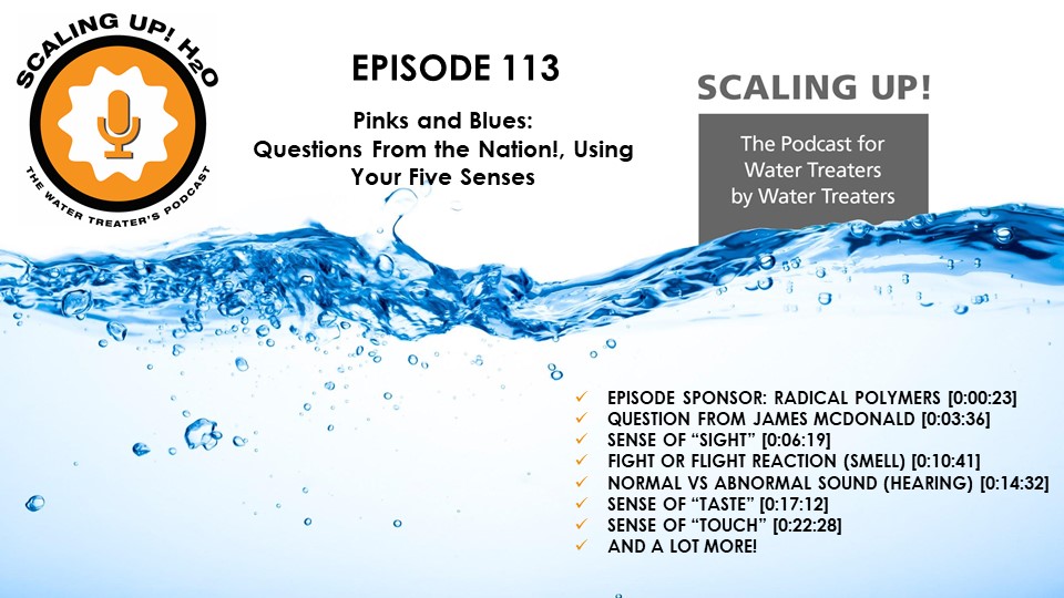 Pinks and Blues: Questions From the Nation!, Using Your Five Senses - Scaling UP! H2O