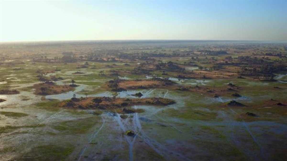 Five technologies and innovations helping to protect the Okavango