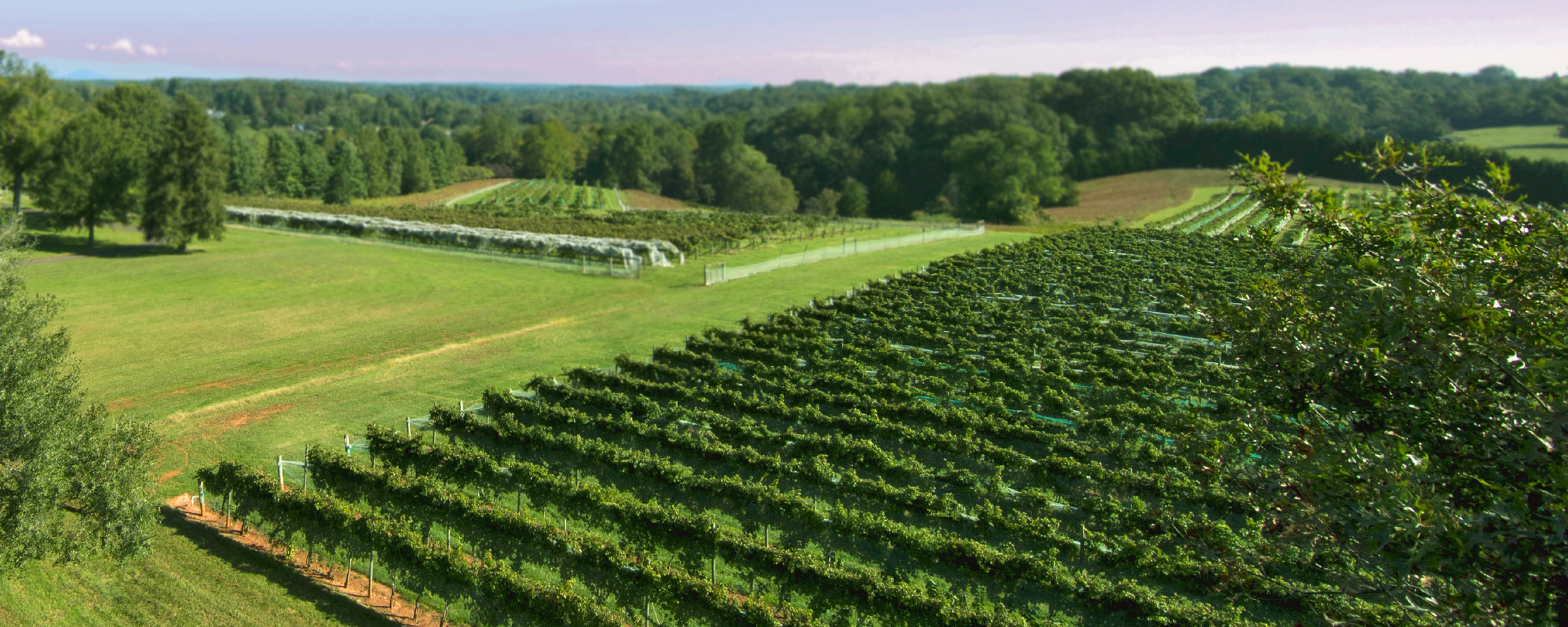 Student Start-up Reduces Toxic Threat of Pesticides