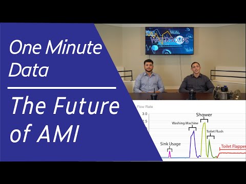 One Minute Data: The Future of AMI