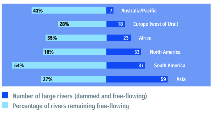 Dams and other infrastructure have caused the fragmentation of 60% of the large river systems in the world. Only 64 of the world&rsquo;s 177 large r...