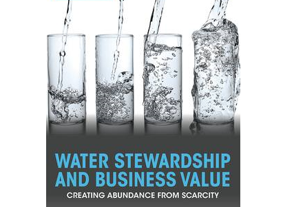 Water Stewardship and Business Value