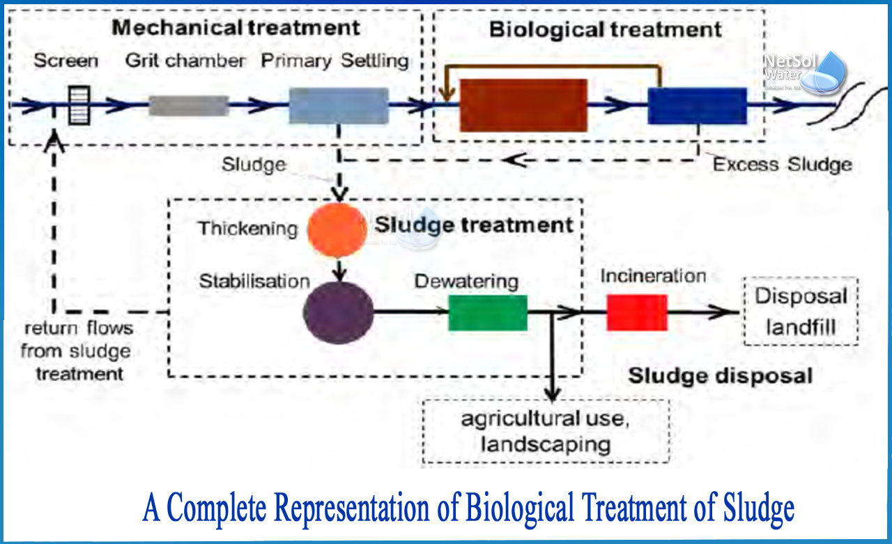 ### **Part 2: Troubleshooting Biological Processes in Wastewater Treatment Systems** 🔧*Key Troubleshooting Areas in Biological Processes in W...