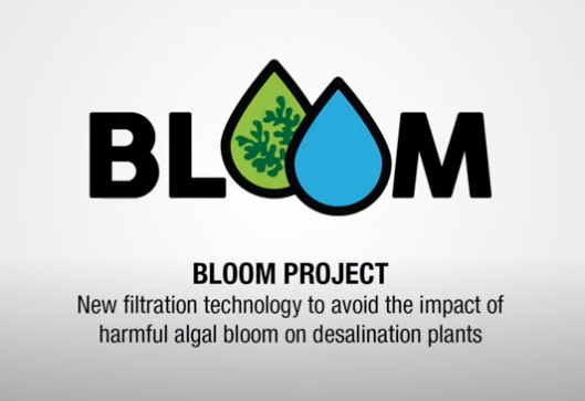 Filtration technology to avoid the impact of algal bloom on desalination plants [BLOOM PROJECT]