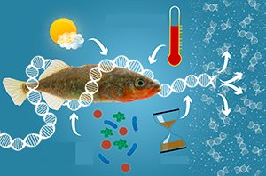 Environmental DNA to Identify Fish Species