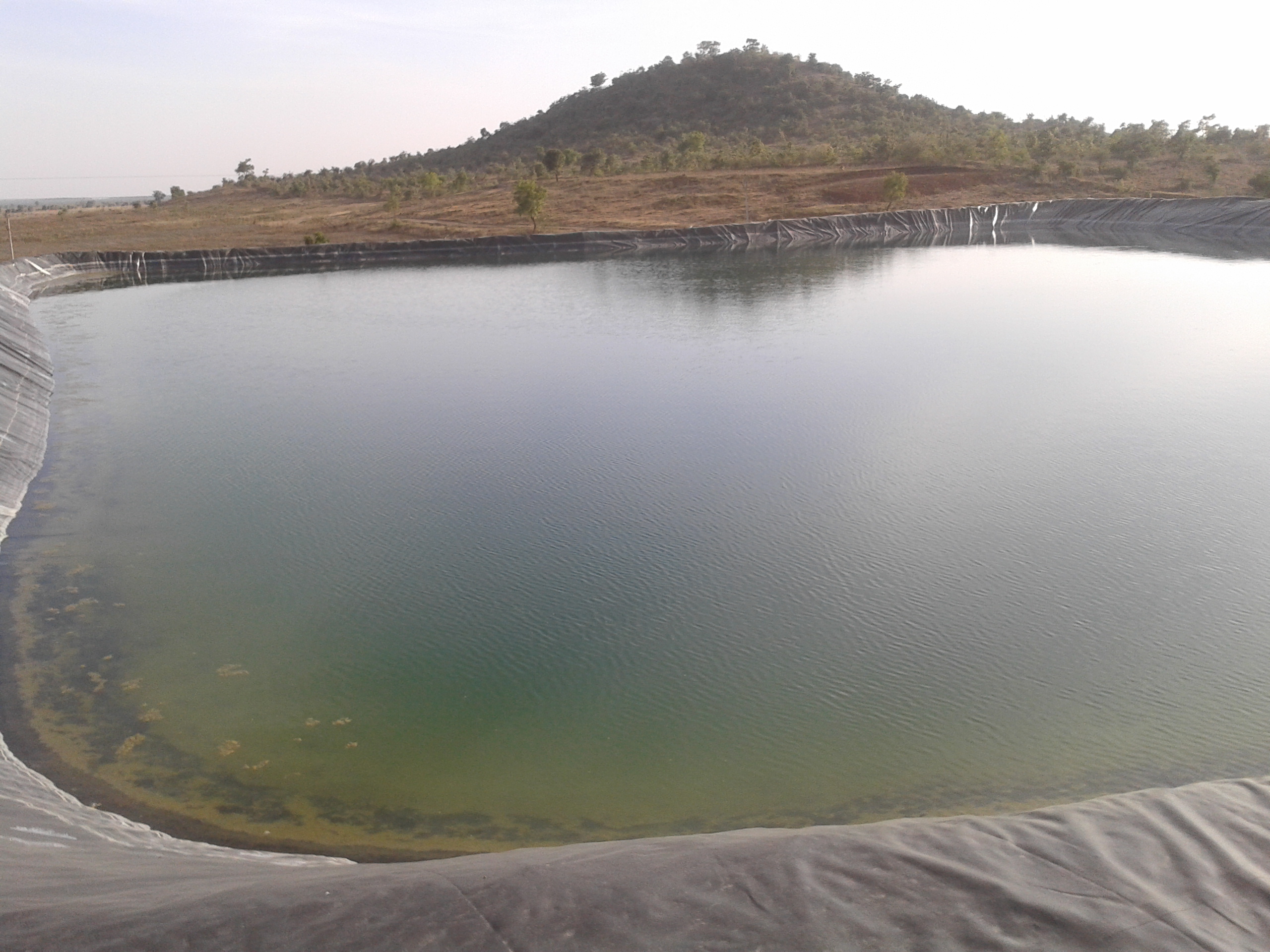 On 13 th January 2015, t visited a net house grown Capsicum with drip irrigation on very shallow soils appropriately supported with organics, bi...