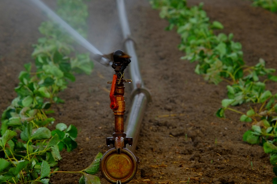 New Agricultural Water Management Certificate Program Set to Launch