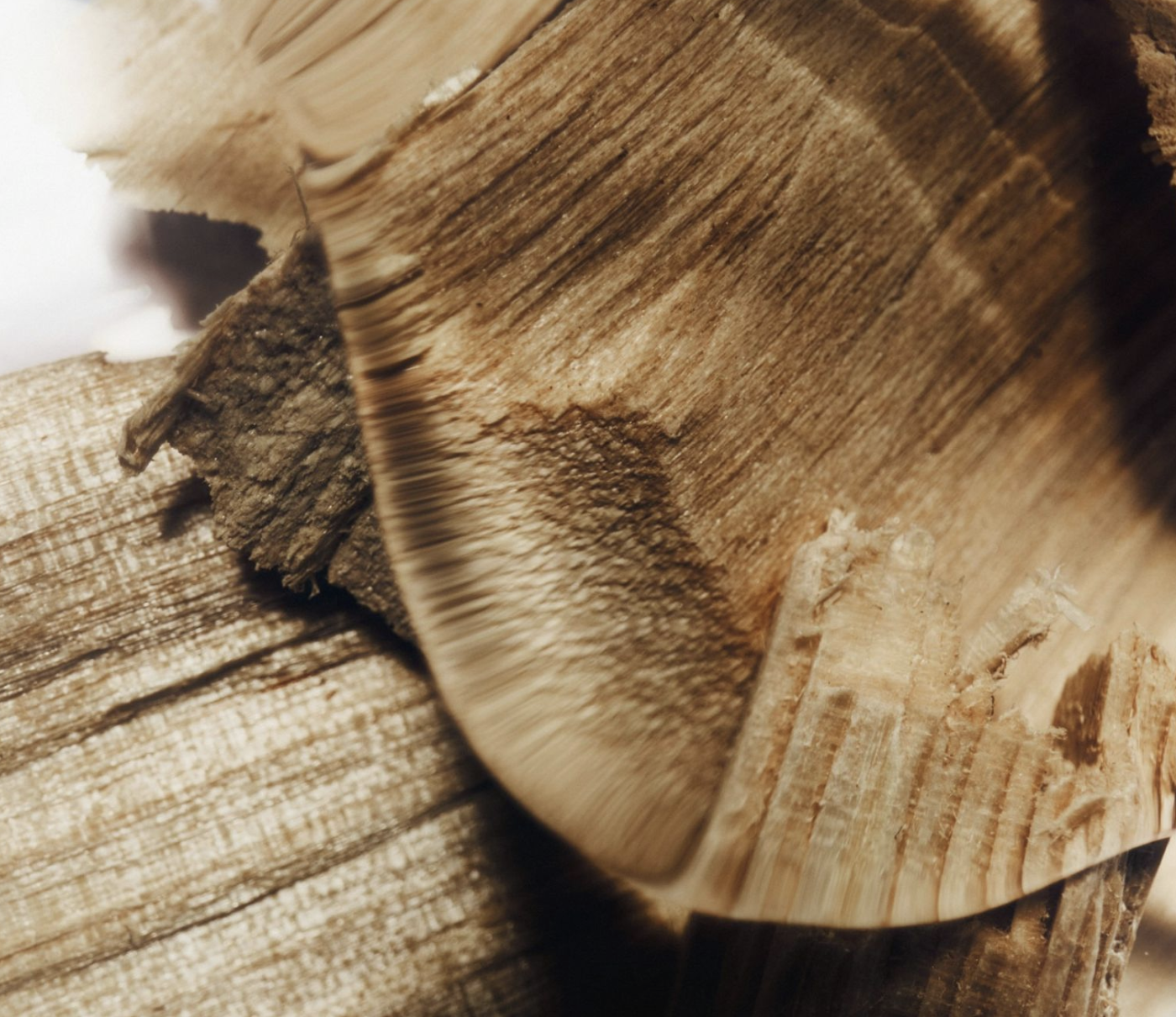 SPINNOVA® fibre uses 98% less water and no harmful chemicals