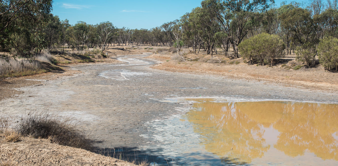 El Niño is here and that means droughts, but they don't work how you might think