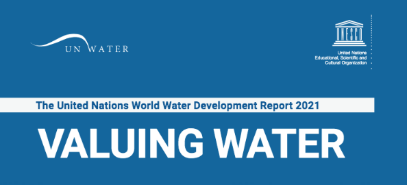 The United Nations world water development report 2021: valuing water