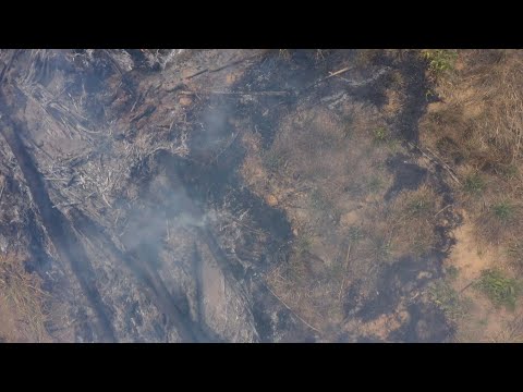 Parts of Brazil's Amazon Rainforest Charred and Smoking After Fire (Video)
