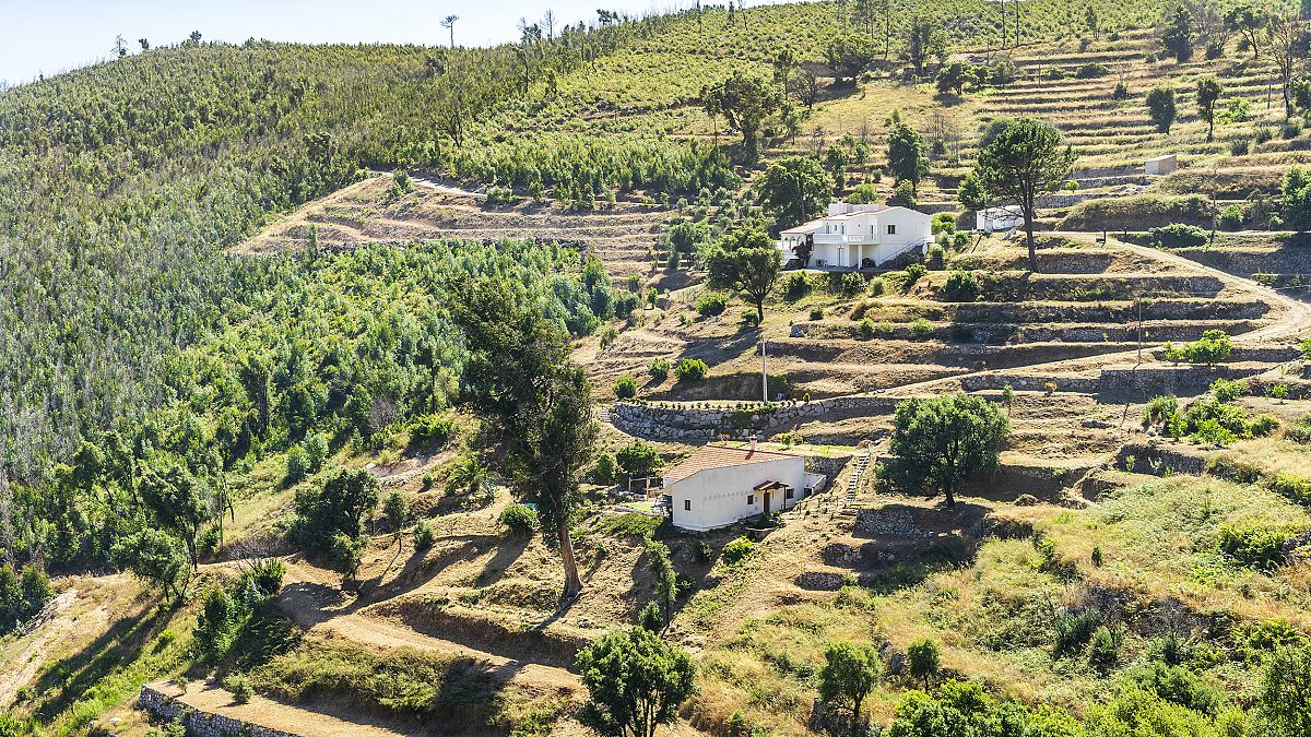 Communities in Portugal&rsquo;s drought-prone Algarve region take water management into their own handsWith the hottest year on record in 2023 and s...
