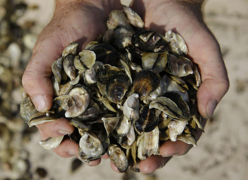 Rise in Waterborne Illnesses