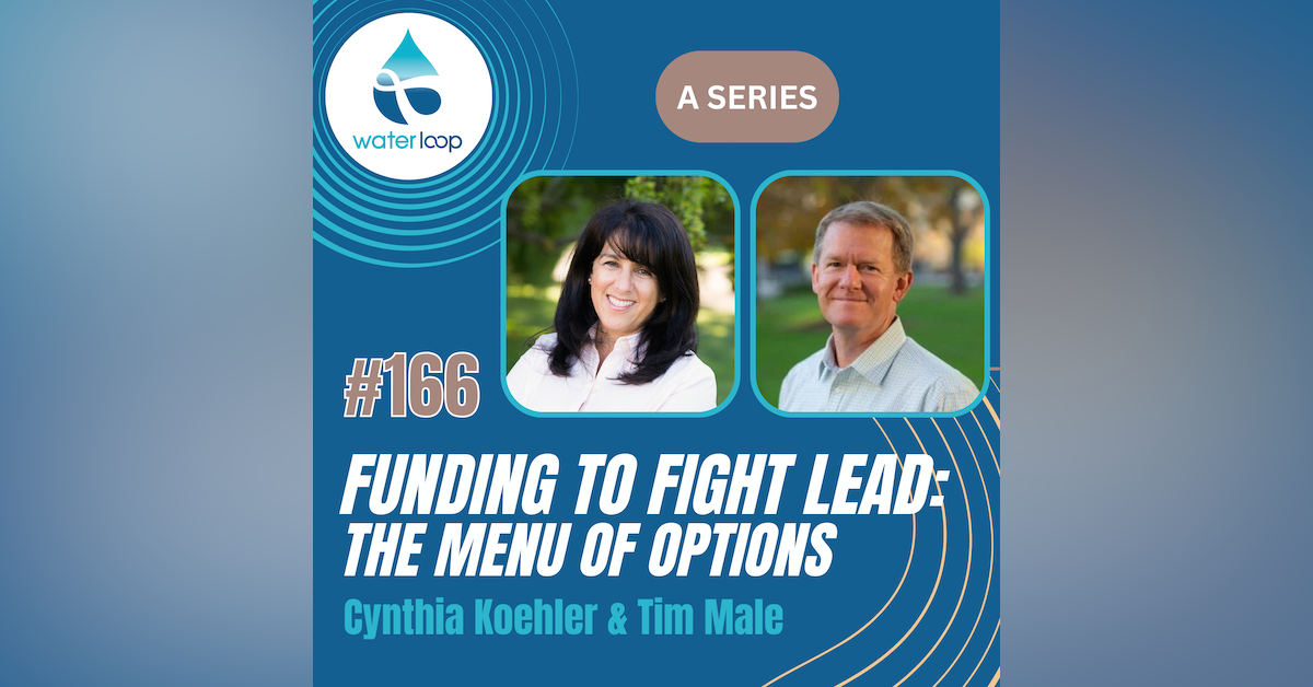 #166: Funding To Fight Lead: The Menu Of Options