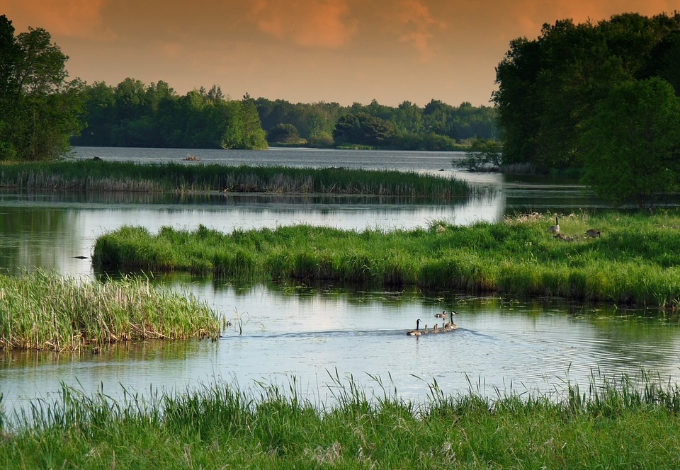 Protecting Wetlands from Underground Mining Impacts