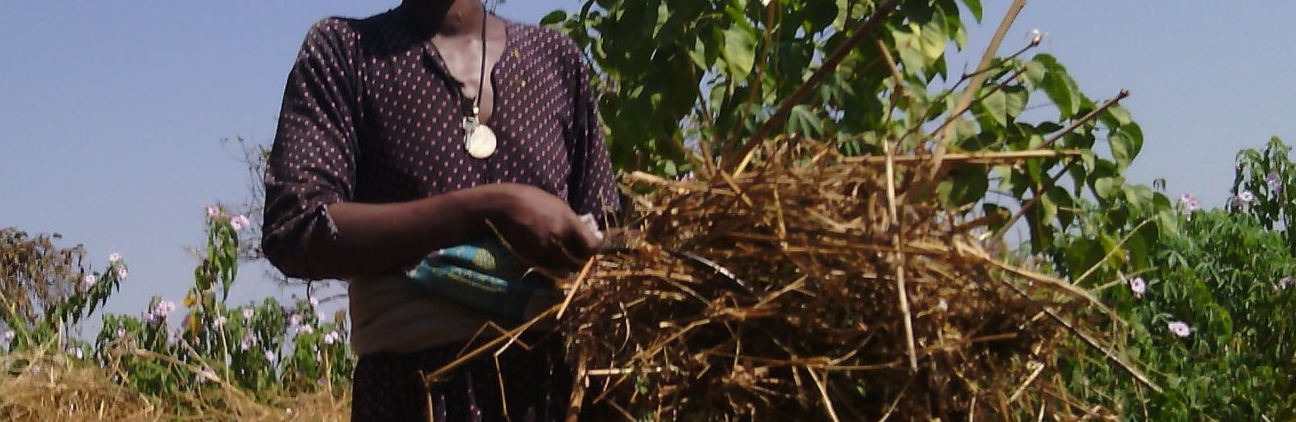 Giving voice to those not heard for more equitable irrigation investments in the Nile Basin