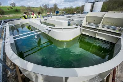 Algae Water Treatment Promise Cheaper, Greener Wastewater Cleaning