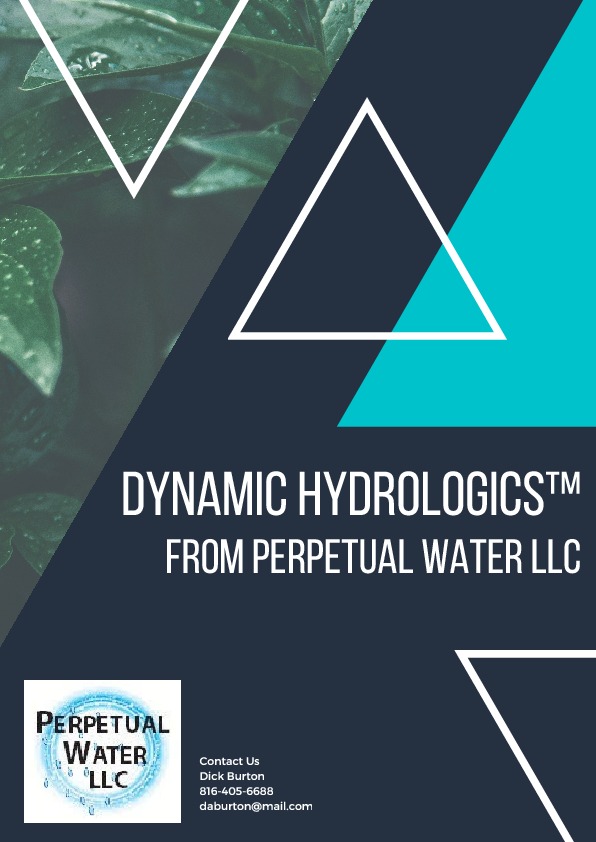 Introducing Dynamic Hydrologics  TM