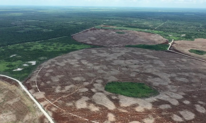 &ldquo;A water tyrant in the Mayan paradise&rdquo;&hellip; Yucatan&rsquo;s water reserve in danger. -SPECIAL REPORT-