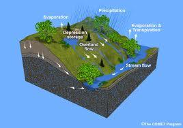 EPA Stormwater Calculator Helps Reduce Stormwater Runoff, Pollution