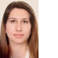 Raya Nour, Engineer
