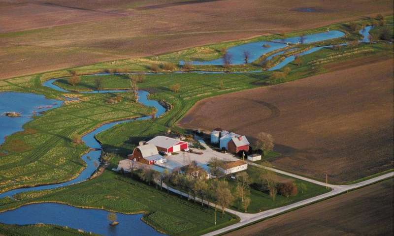 Wetlands Effective In Reducing Nitrates