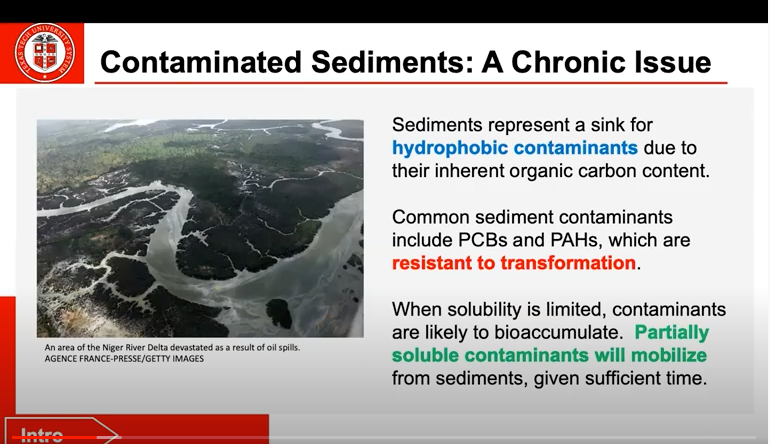 Facing the Challenge of Long-Term Sediment Contamination: Are Bioreactive Sediment Caps the Answer?