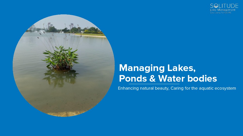 Lake and Ponds Management