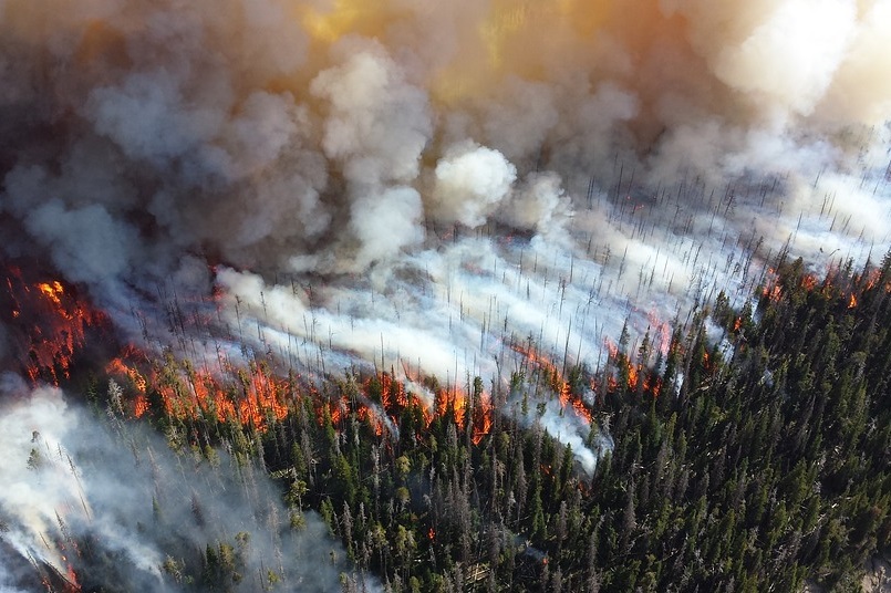Increases in Wildfire-Caused Erosion Could Impact Water Supply and Quality
