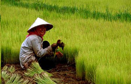 Chinese Plan on Groundwater Pollution Control