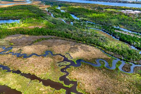Coastal Wetlands Can&#039;t Keep Pace With Sea-Level Rise, And Infrastructure Is Leaving Them Nowhere To Go