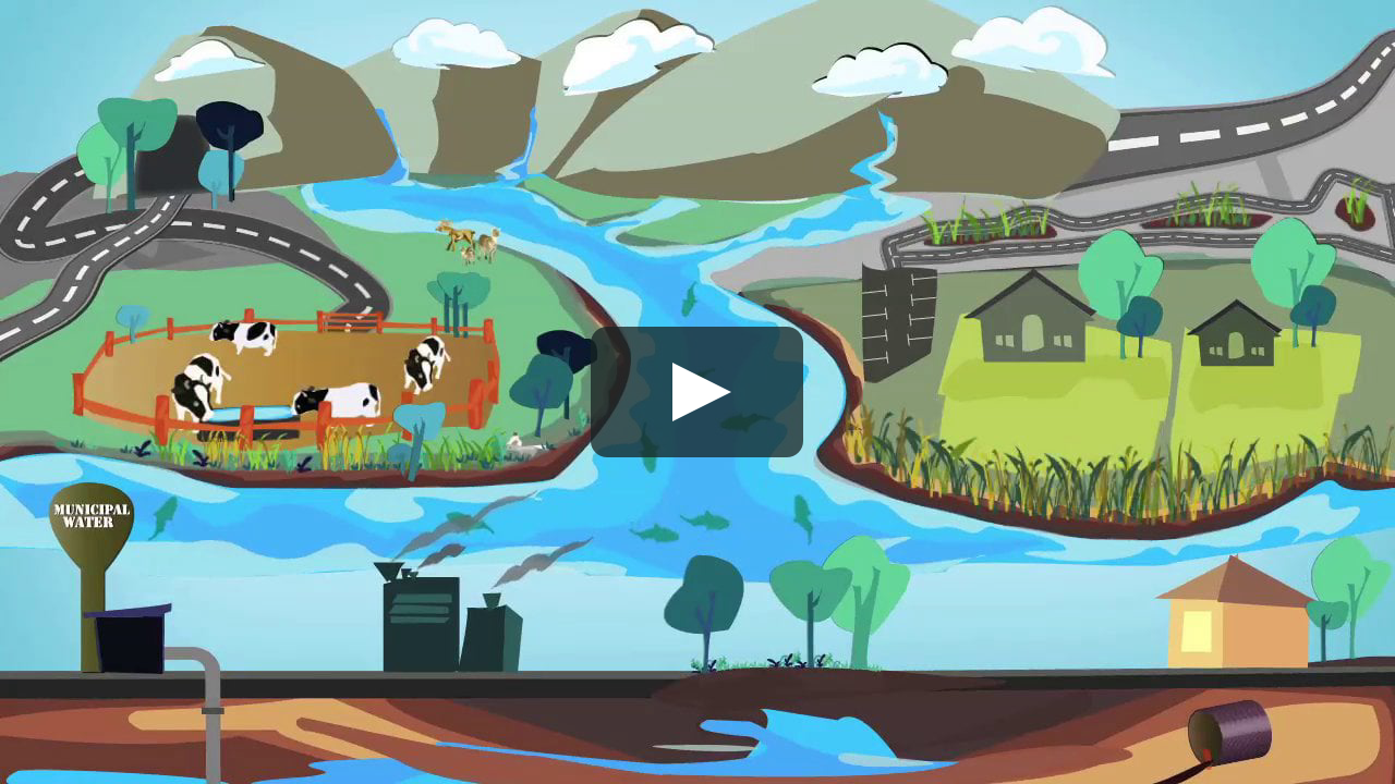 Clean Water: A Long Journey from the Source to Our Tap (Video)