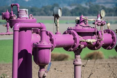 DPR Becoming Palatable For California Public