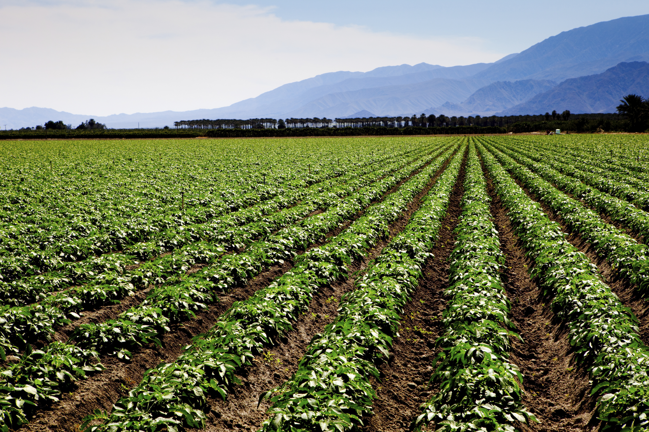 Aerial Tool a Game Changer for Agriculture