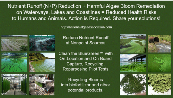 Nutrient runoff pollution reduction pilot tests to enhance community waterways
