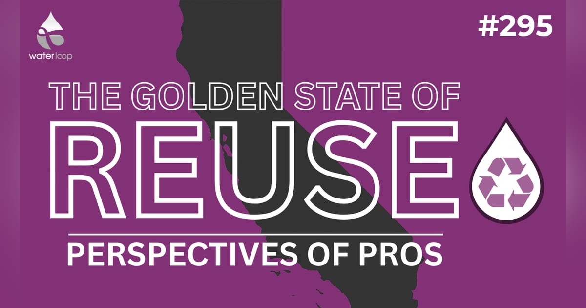 Perspectives of Professionals on California's Recycling Renaissance | The Golden State of Reuse