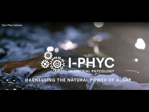 The I-Phyc Story - how it changes wastewater treatment forever