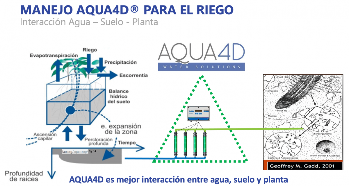 Improving Plant Performance Under Extreme Environmental Conditions: Reflections From Brazil