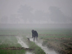 PepsiCo India partners N-Drip to help farmers to enhance water efficiency