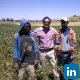Shiv Kumar (ICARDA) Agrawal, International Center for Aagricultural Research in the Dry Areas - Lentil Breeder