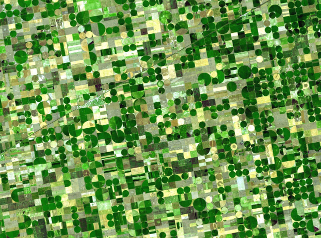 Swapping Where Crops are Grown Could Feed an Extra 825 Million People