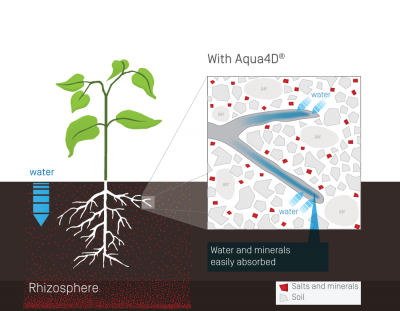 Swiss Technology Solves Salinity in Seville Orange Trees