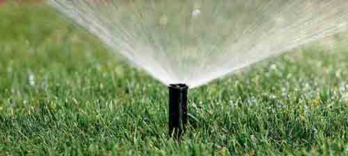 New Watering Restrictions in Vancouver