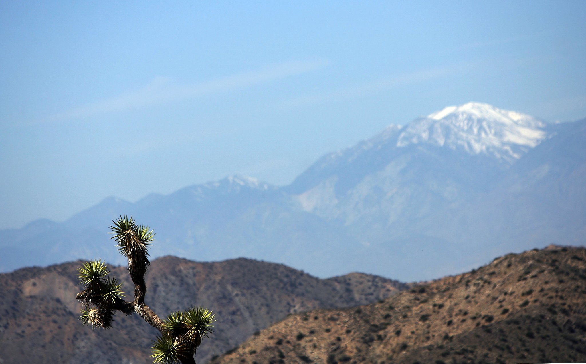 Death Valley, Joshua Tree national parks would grow under Senate-passed bill
